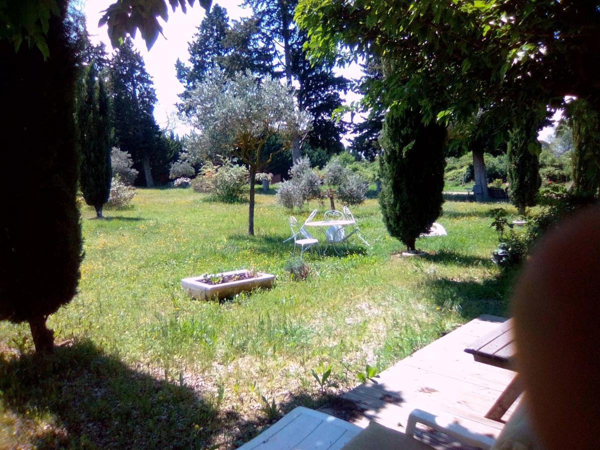 Le Domaine De Belle Bed and Breakfast LʼIsle-sur-la-Sorgue Buitenkant foto